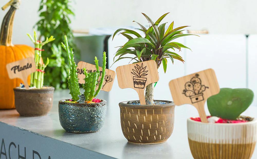 Blank Wooden Plant Label Signs