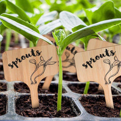 Blank Wooden Plant Label Signs